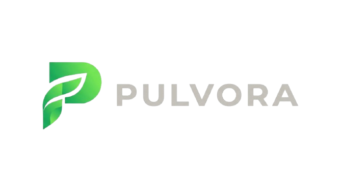 Best Digital Marketing Agency in Tricity & Mohali | Pulvora
